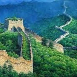 Meet your Posher, Reagan